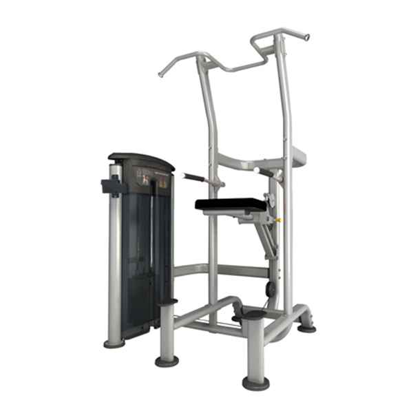 GYM GEAR Perform Series Assisted Chin / Dip - Luxe Gym Company