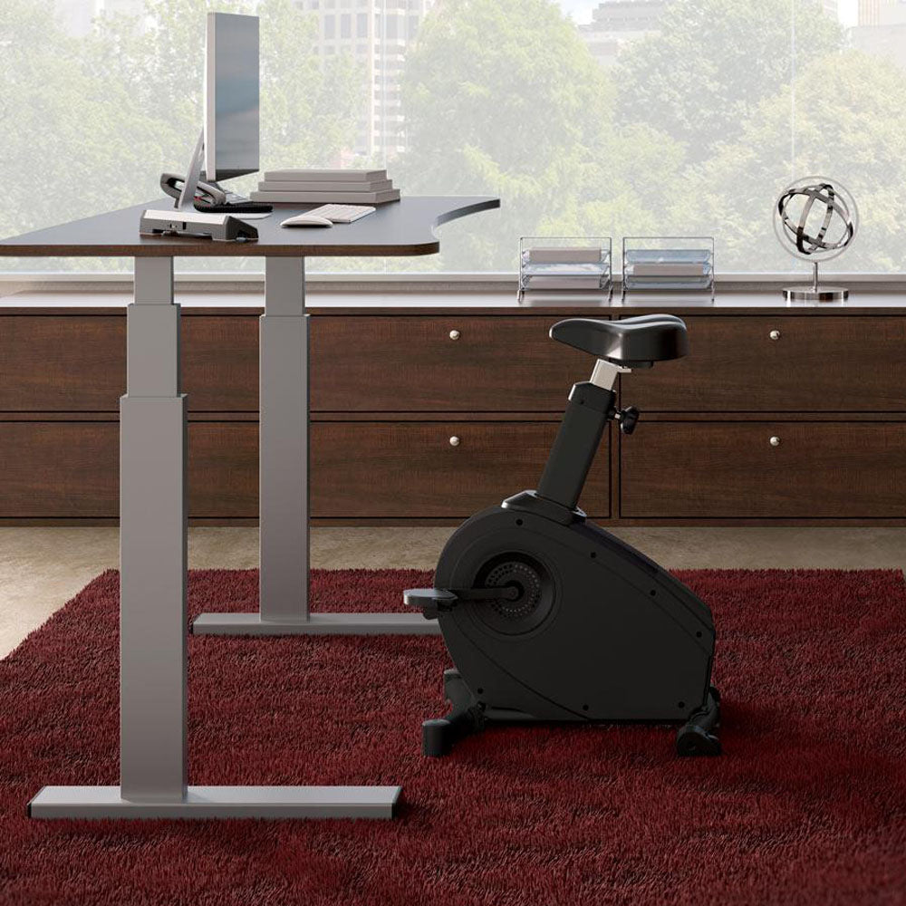 LIFESPAN WORKPLACE Under Desk Bike C3-DT3-BT