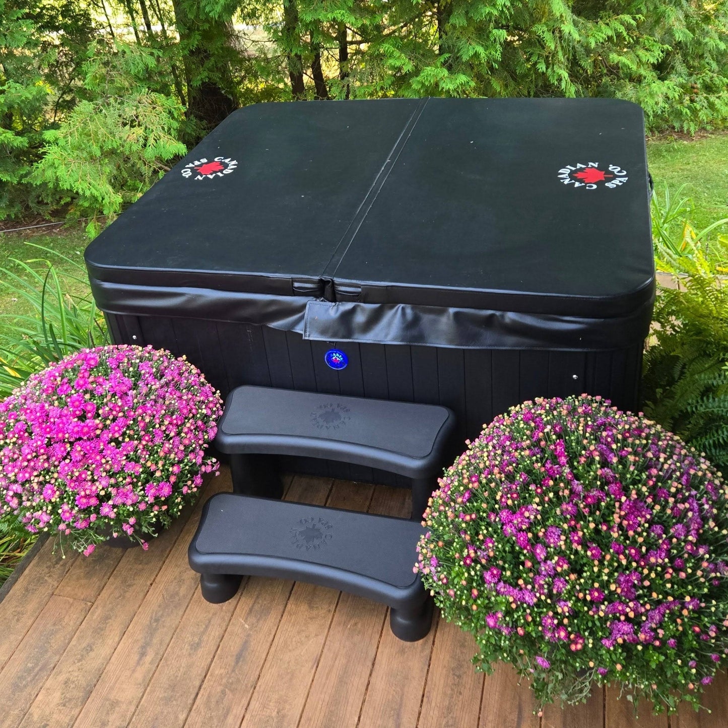 CANADIAN SPA COMPANY Manitoba AI Patio Spa | 4-Person 14-Jet